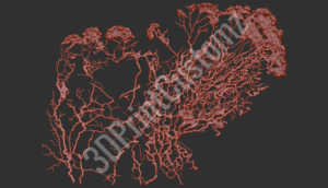 a red and black background 3DPrintCustomz Custom 3D Design