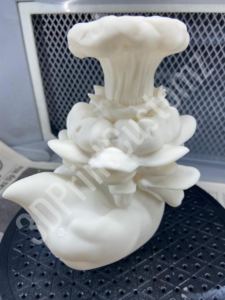 a white sculpture of a skull 3DPrintCustomz Custom 3D Resin Printing