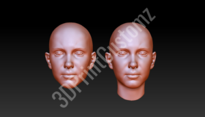a pair of human heads 3DPrintCustomz Custom 3D Resin Printing